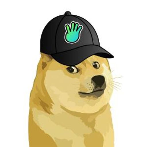 4DOGE