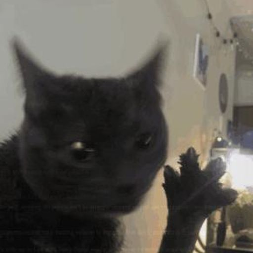 4cat