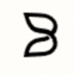 白 BAI