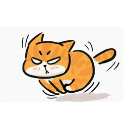 橘猫