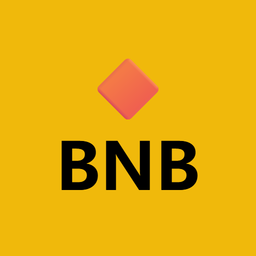 🔶 BNB