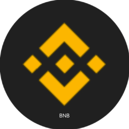 BNBDXS