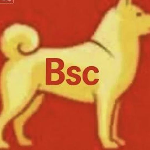 Bsc大金狗