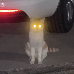 镭射猫