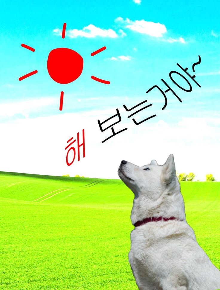 햄 볶는거야  