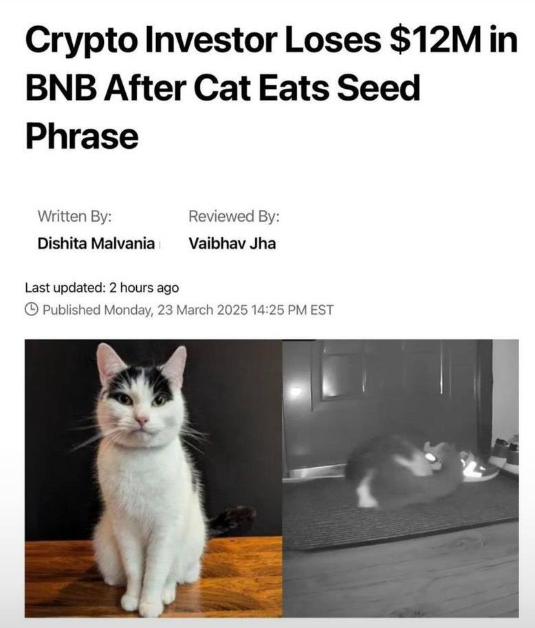 $12 Million Cat