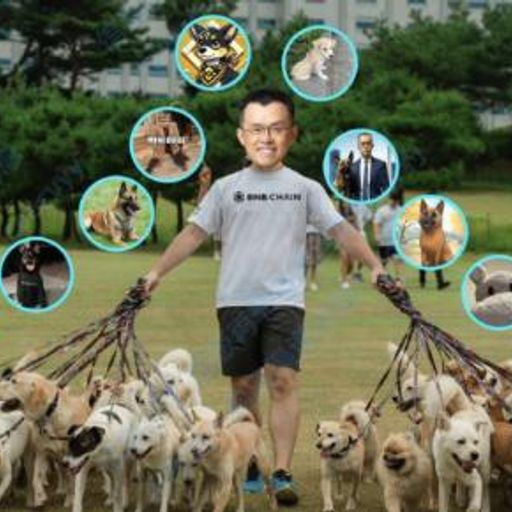 CZ DOGS