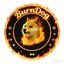 BurnDog