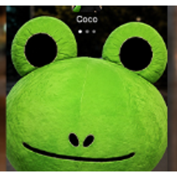Froggie