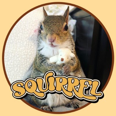 SQUI