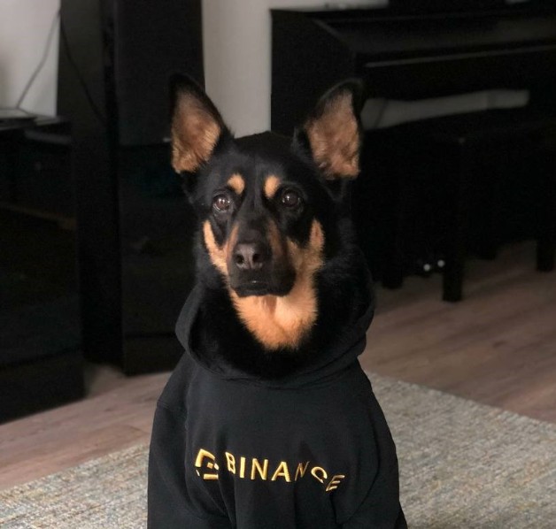 BINNY