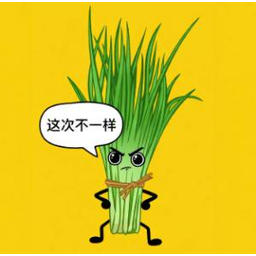 这次不一样