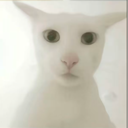 老吴