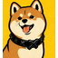 X DOGE