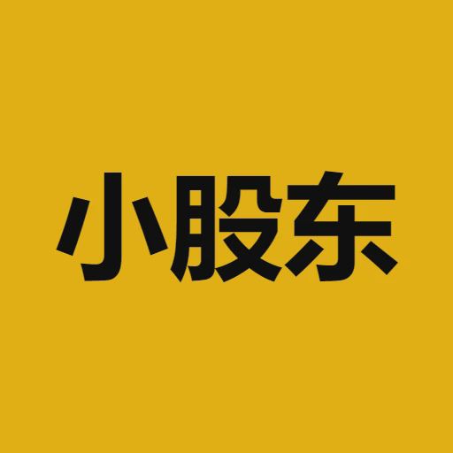 小股东