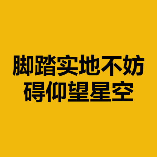 脚踏实地不妨碍仰望星空