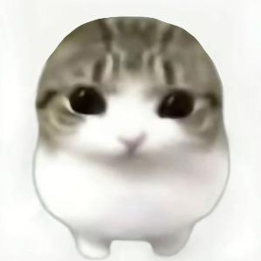 妙脆角小猫