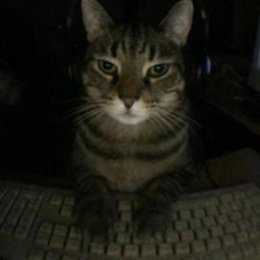 Foracat