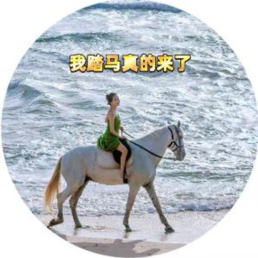 我踏马真的来了