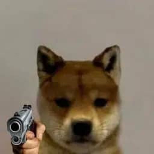 DogwifGun