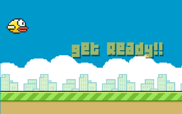 bird