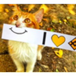 BinanceCat