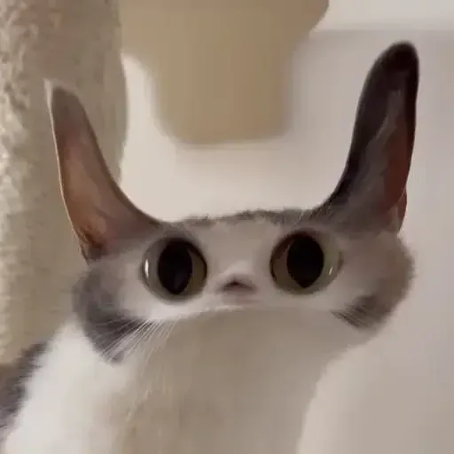 提米