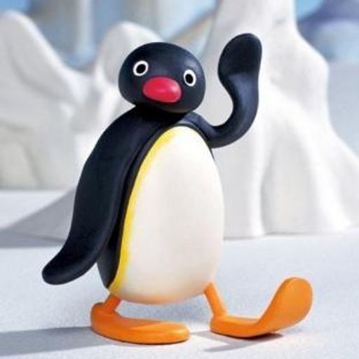NOOT
