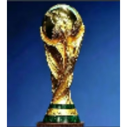 世界杯🏆