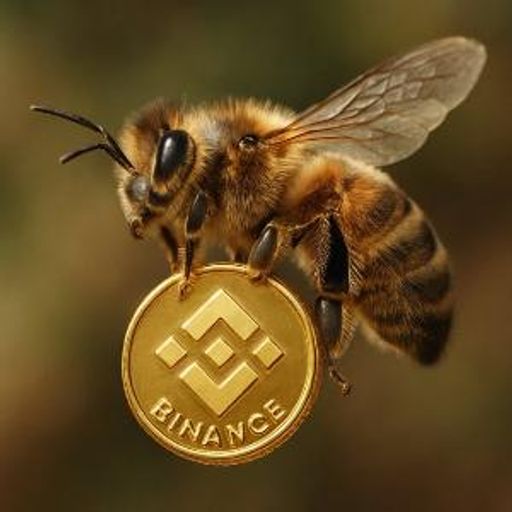 BNB