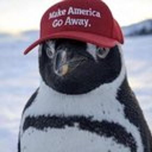 MAGA
