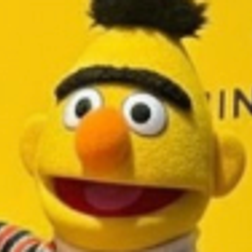 Bert
