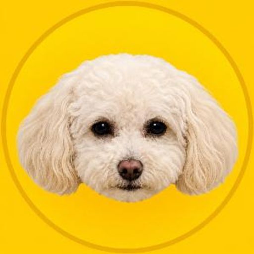 Korico