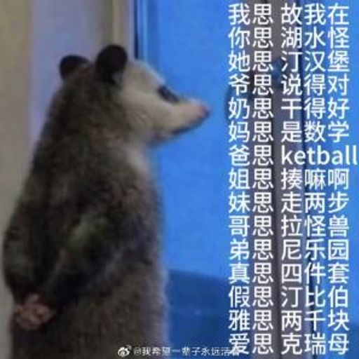 负鼠
