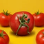 西红柿