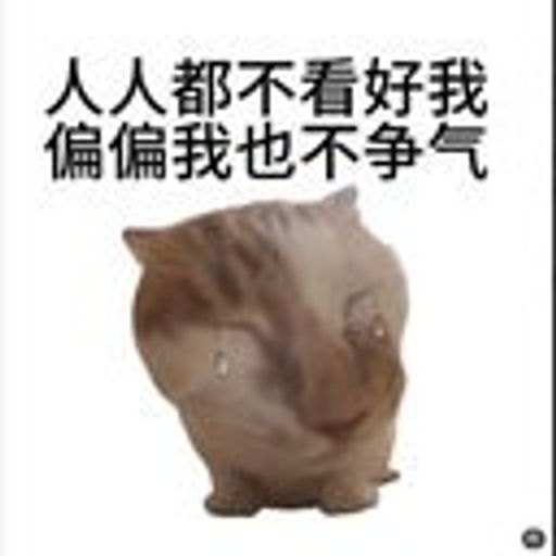 人人都不看好我偏偏我也不争气