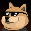DankDoge