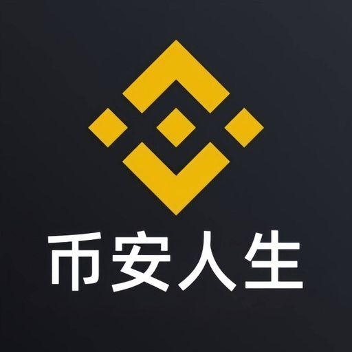 币安人生