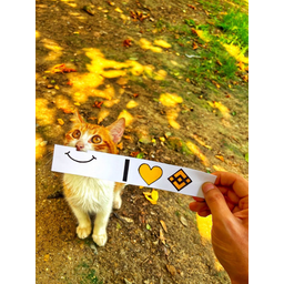 BINANCECAT