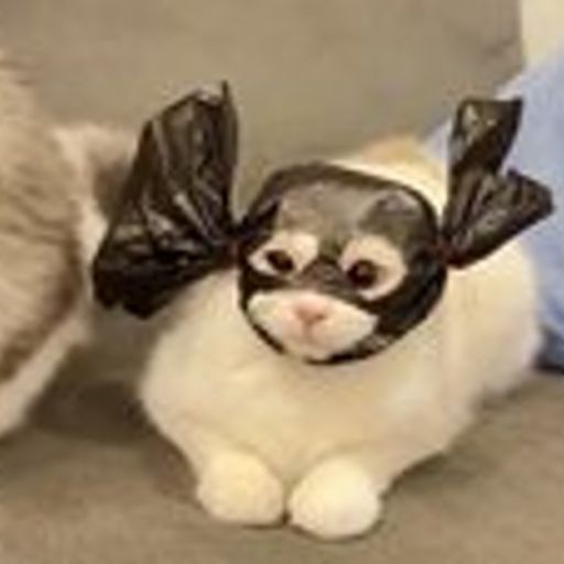 BatCat