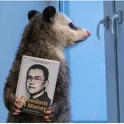 背手负书freedom of money