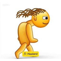 HAALAND