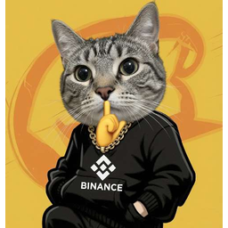 funnycat