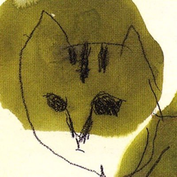 黄猫股神