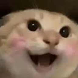 哈基米