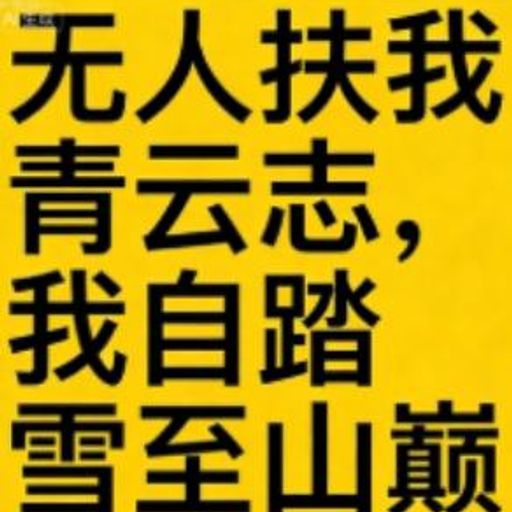 无人扶我青云志,我自踏雪至山巅