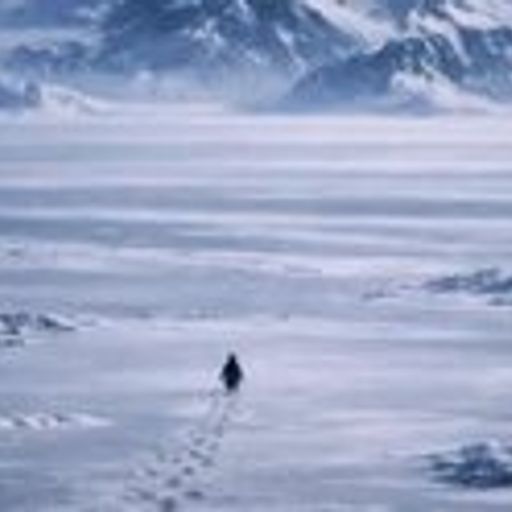 我自踏雪至山巅