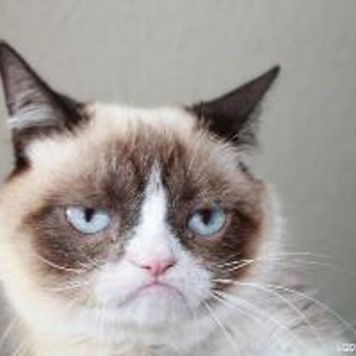 GRUMPCAT