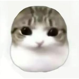 棱角猫