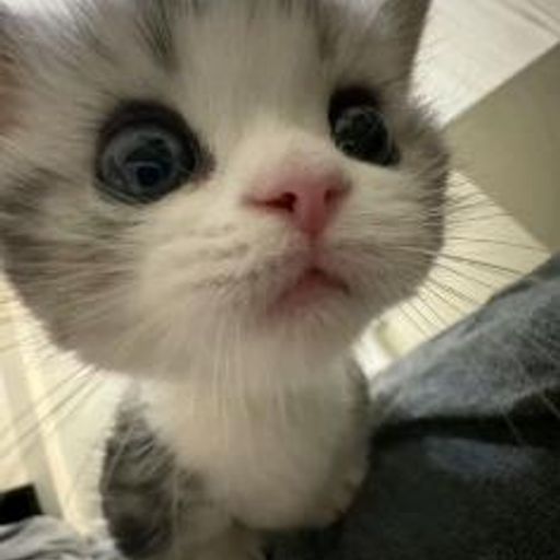 BINANCEUSISSUPERAWES